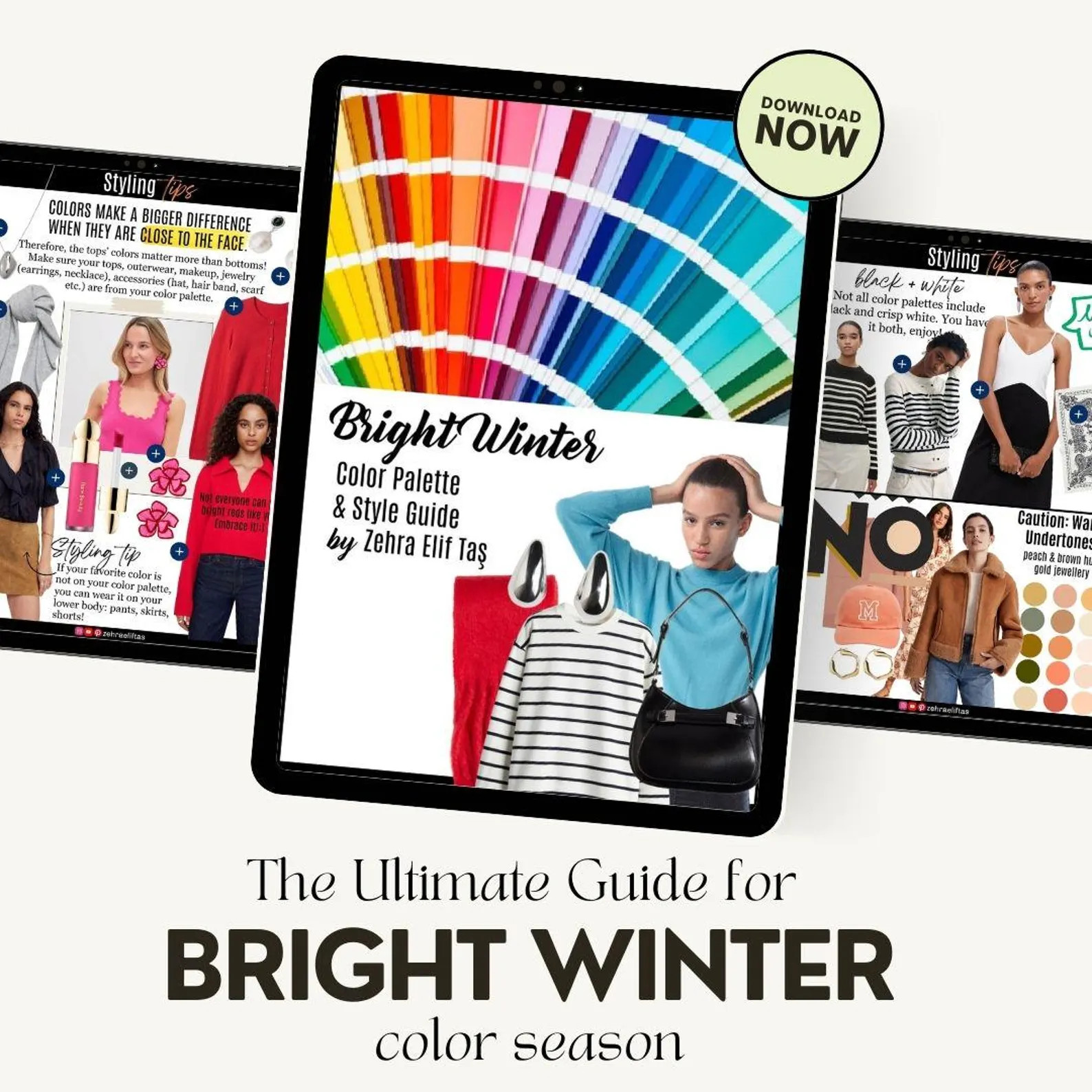 BRIGHT WINTER COLOR Palette, Makeup Palette and Style Guide for Bright Winter Seasonal Color Anal... | Etsy (US)