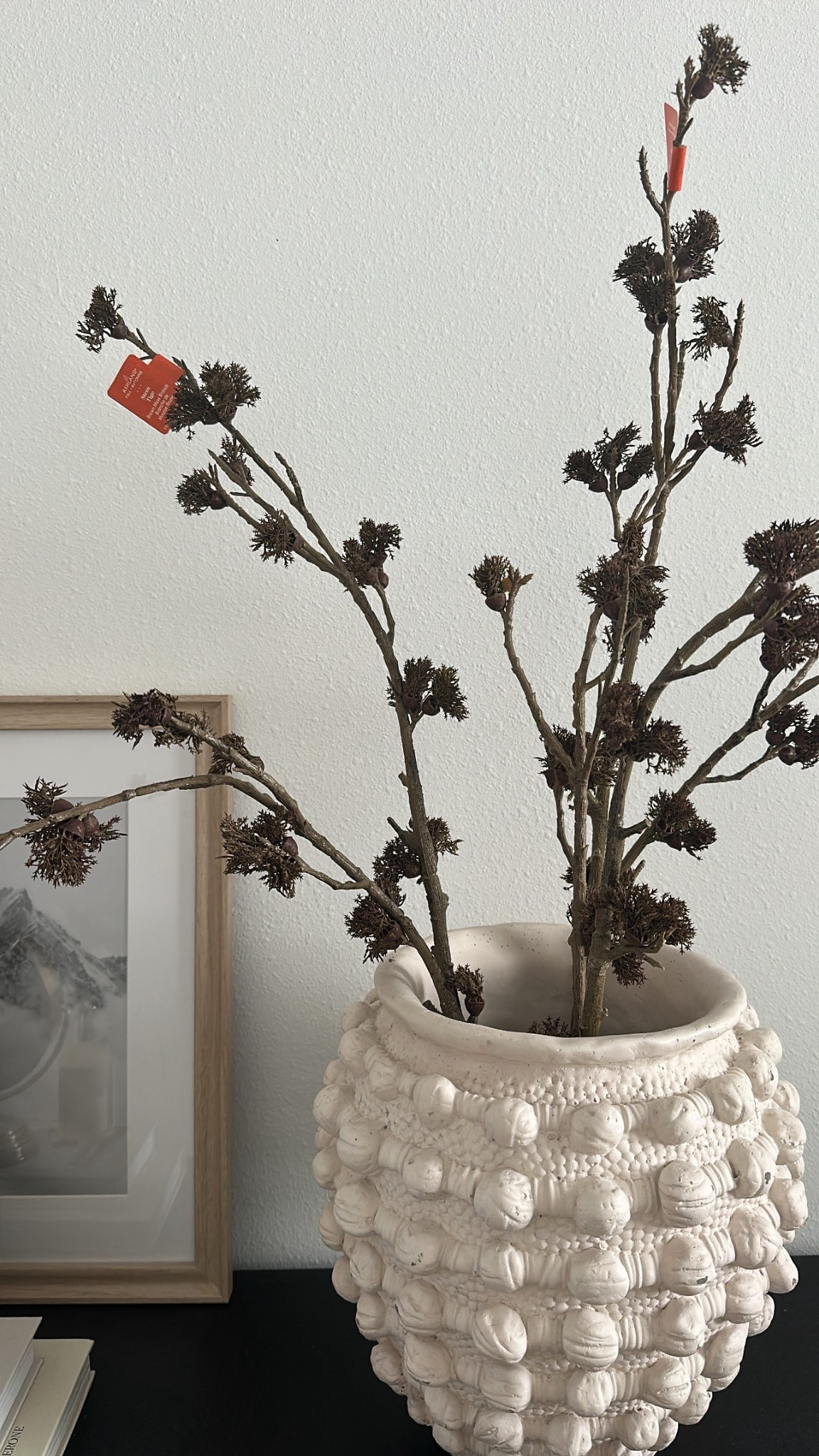 Fall home decor🍂

Fall decor/ home/ house/ decor / Michael’s / stems 

#LTKSeasonal #LTKHome #LTKStyleTip