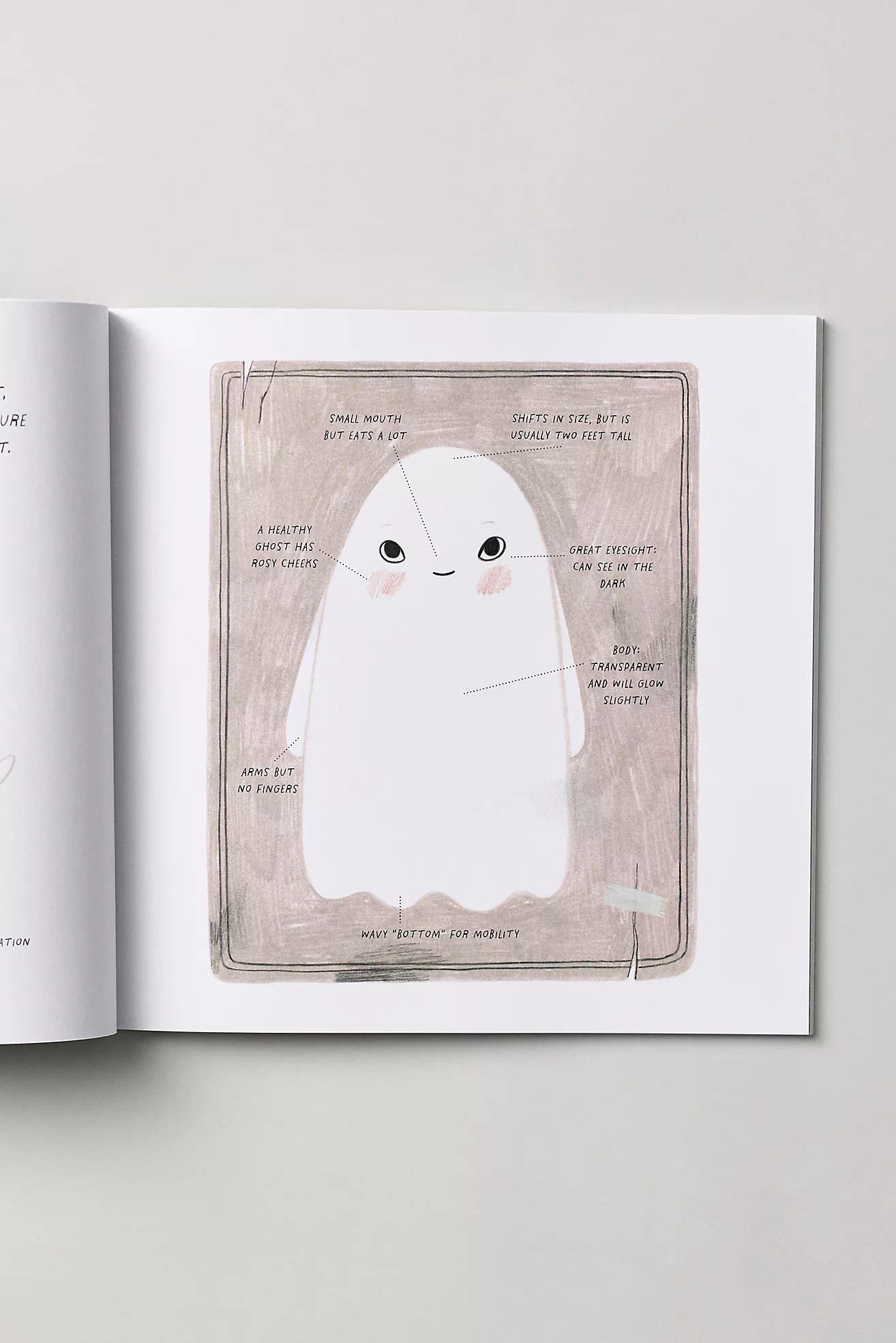 How to Make Friends With a Ghost Kids Book | Anthropologie (US)