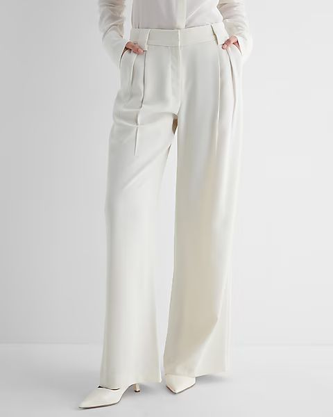 Stylist High Waisted Pleated Wide Leg Pant | Express