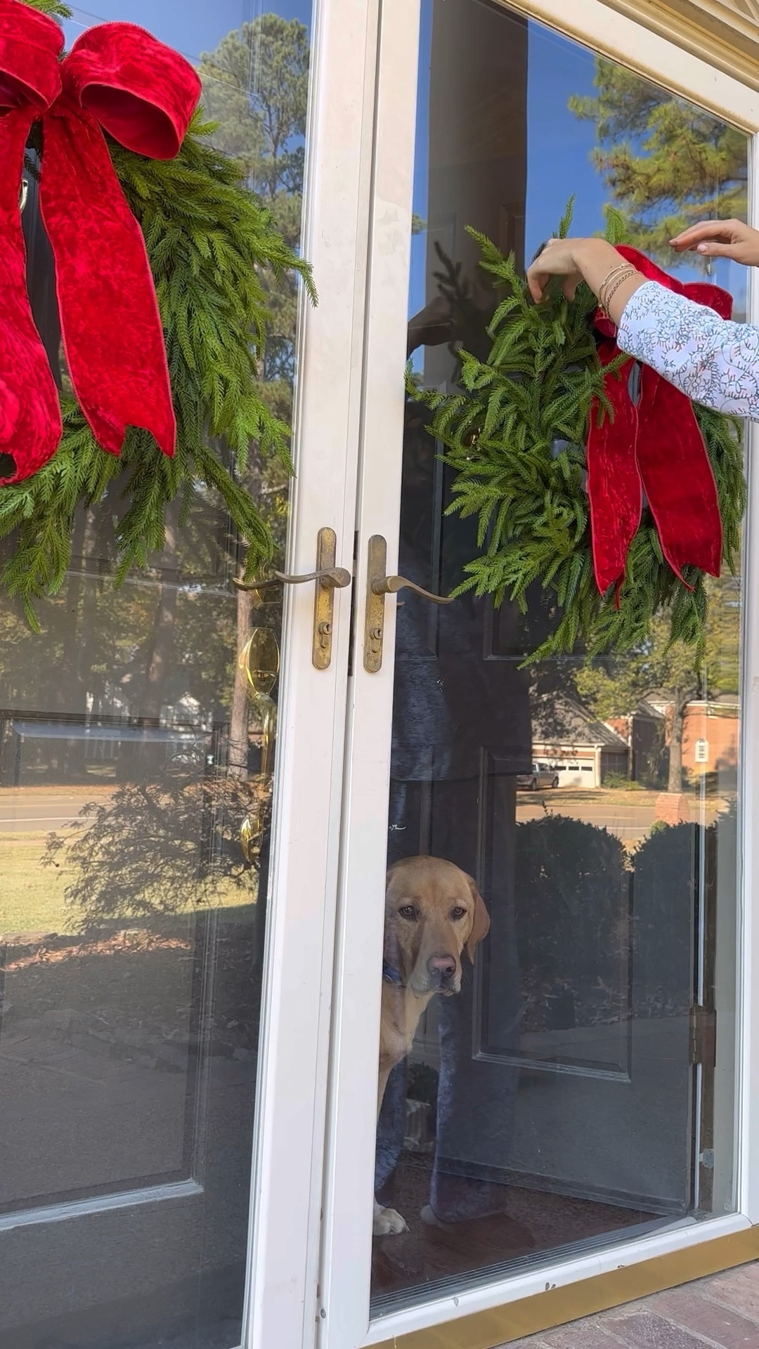 Out with the old in with the new! Holiday decorations are officially in full force over here! These realistic wreaths are one of my favorites year after year! 

#LTKSeasonal #LTKVideo #LTKHoliday