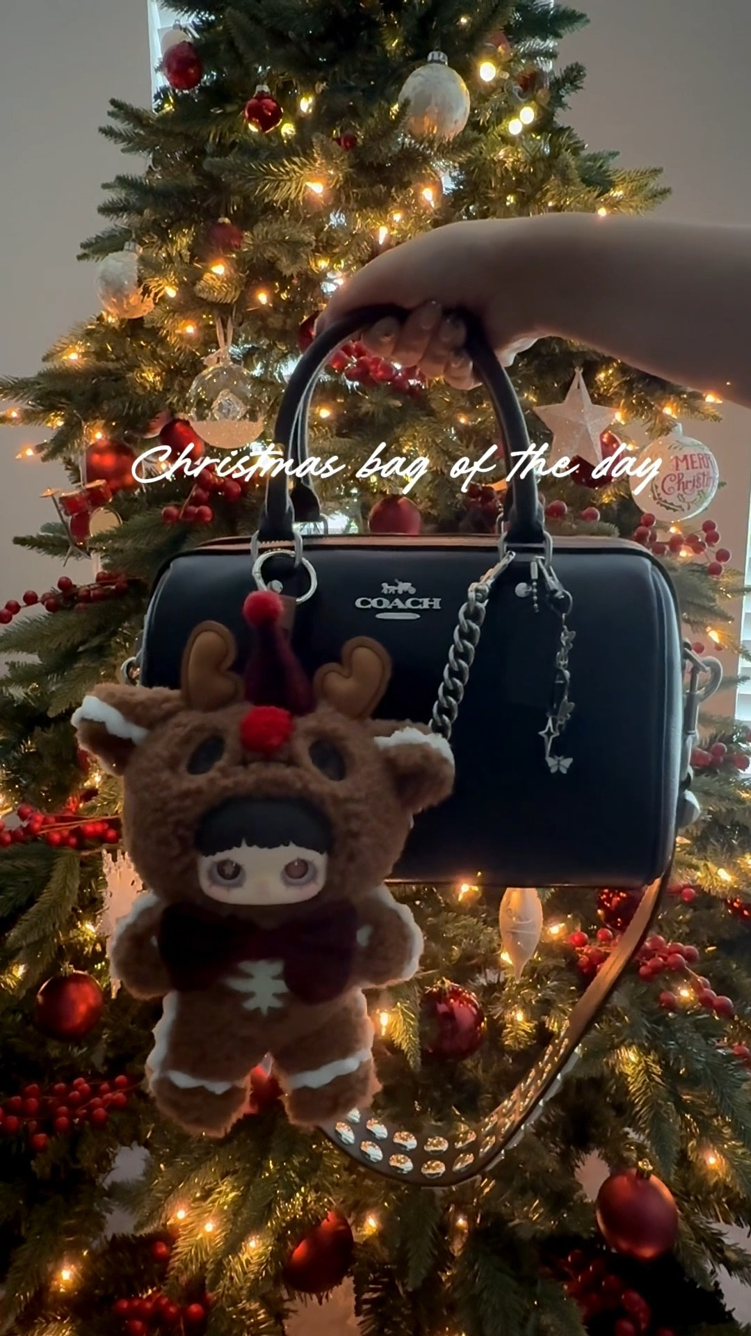 My Christmas bag! ❤️ 

#LTKGiftGuide