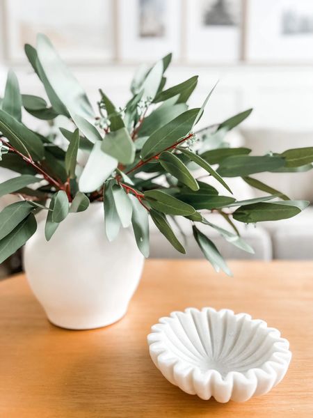 Simple coffee table decor!

Love our light wood oval coffee table, artificial greenery and marble ruffle bowl all from Amazon.

Nathan James coffee table, ceramic vase, eucalyptus branches, artificial green stems, faux green branch, marble ruffle bowl.

Living room decor.


#LTKstyletip #LTKhome #LTKMostLoved