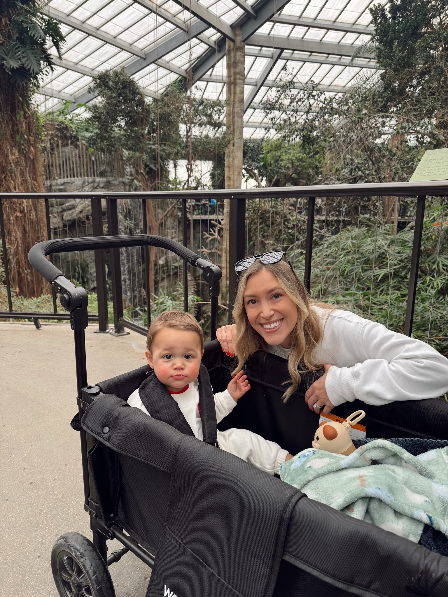 A day at the zoo isn’t complete without our Wonderfold Wagon! 🐒 Worth every bit of the splurge—it fits all our gear, and my little guy rides comfortably inside. Just the perfect size for everything we need!

#LTKTravel #LTKKids #LTKSpringSale