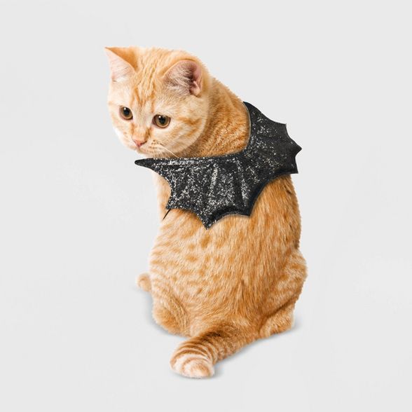 Bat Wings Cat Costume - Hyde & EEK! Boutique™ | Target