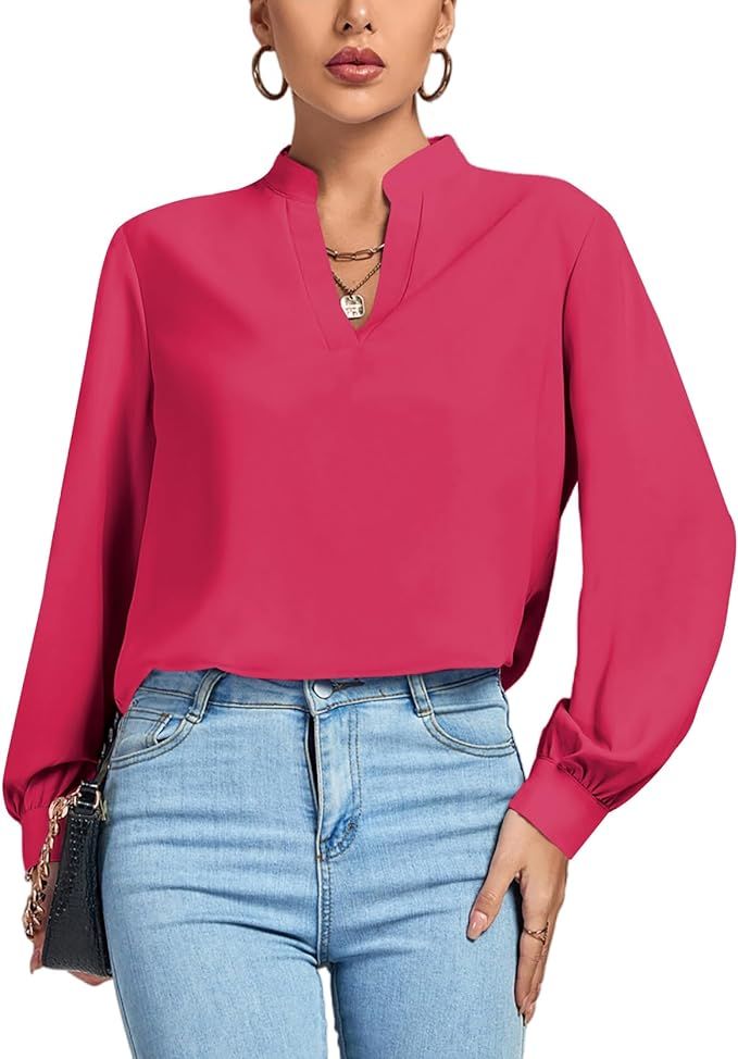 LYANER Women's V Neck Shirred Long Sleeve Office Elegant Tunic Blouse Top | Amazon (US)