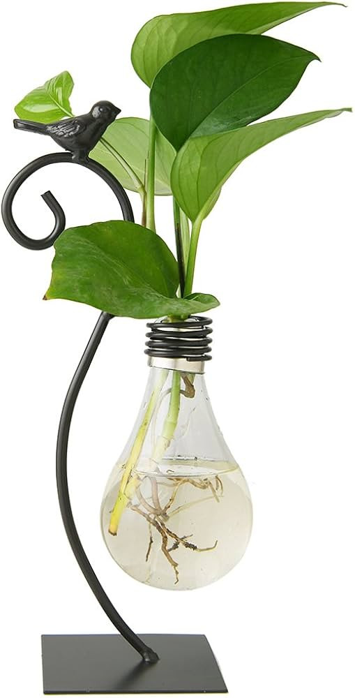 Marbrasse Desktop Glass Planter Hydroponics Vase,Planter Bulb Vase with Holder for Home Decoratio... | Amazon (US)