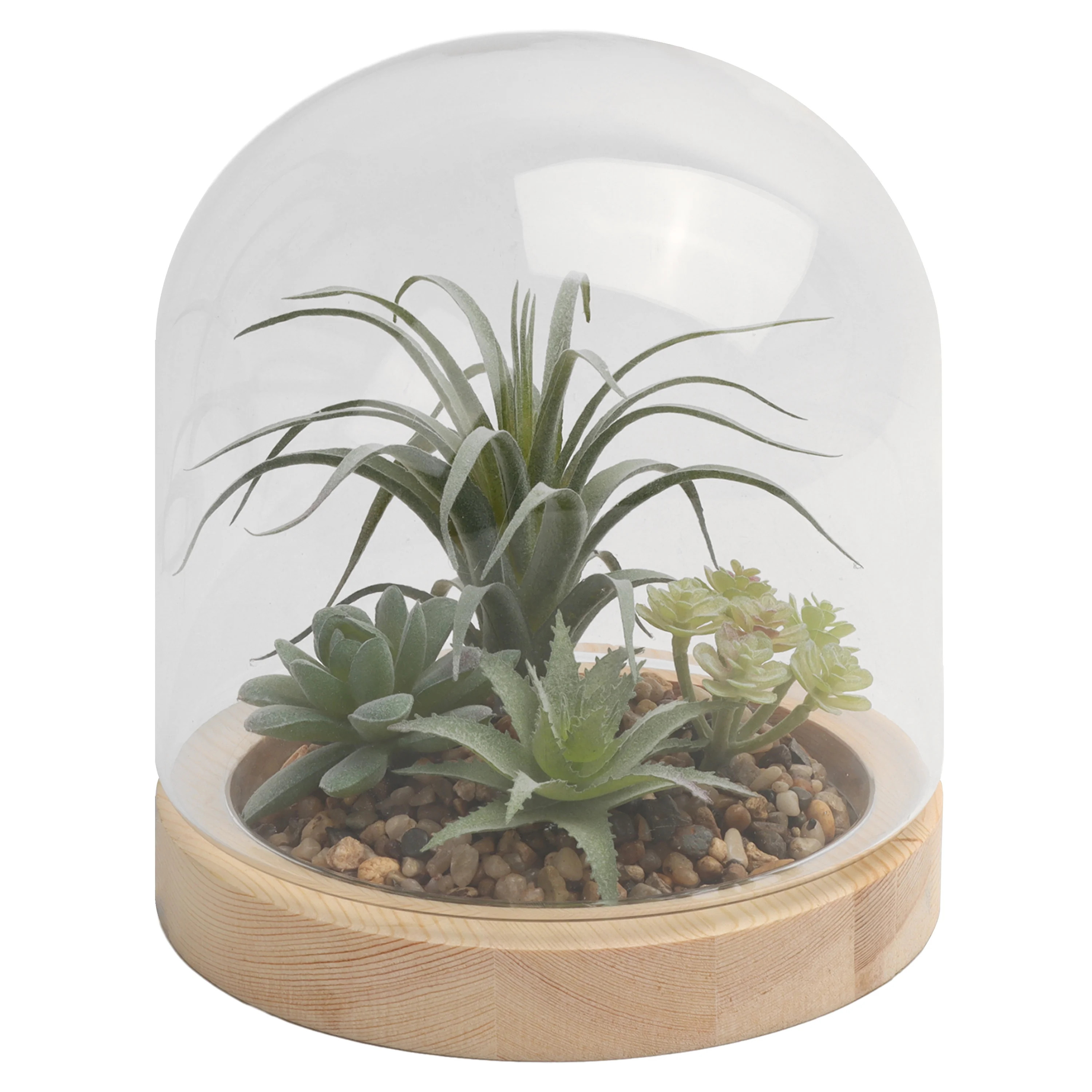Glass Enclosed Faux Succulent 9.84" Terrarium Indoor Table Top Décor - Walmart.com | Walmart (US)
