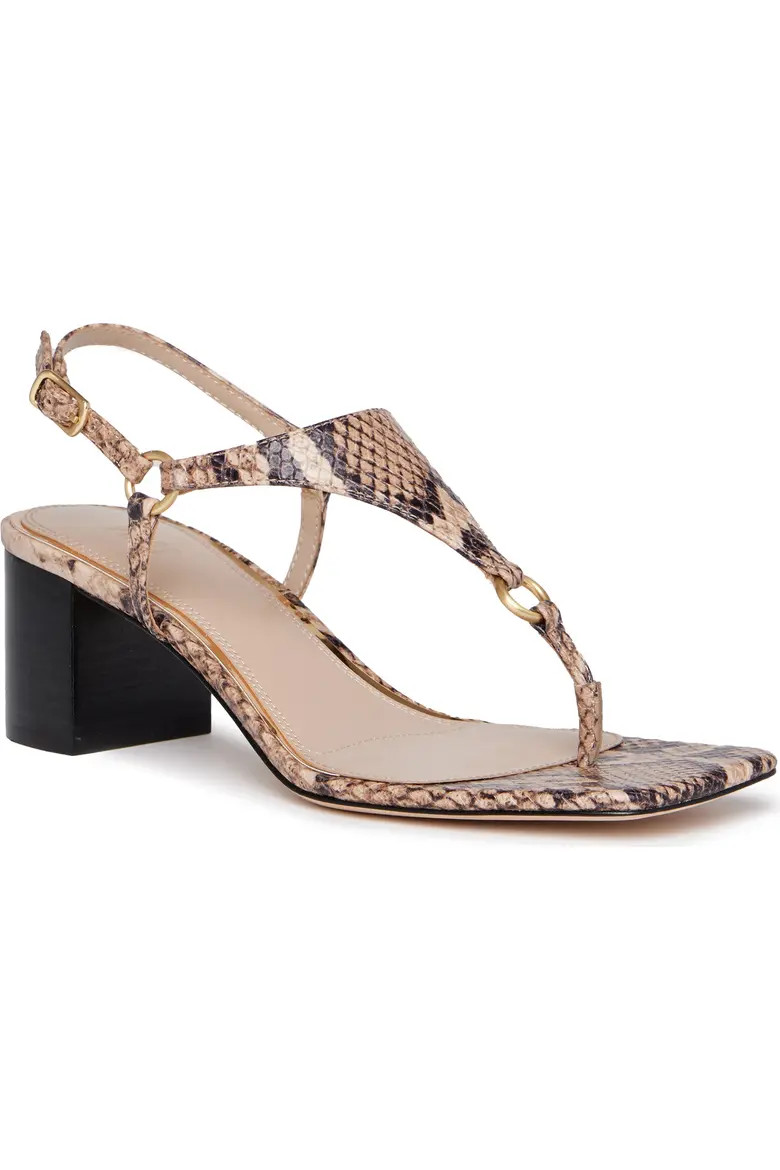 Elara Ankle Strap Sandal (Women) | Nordstrom | Nordstrom