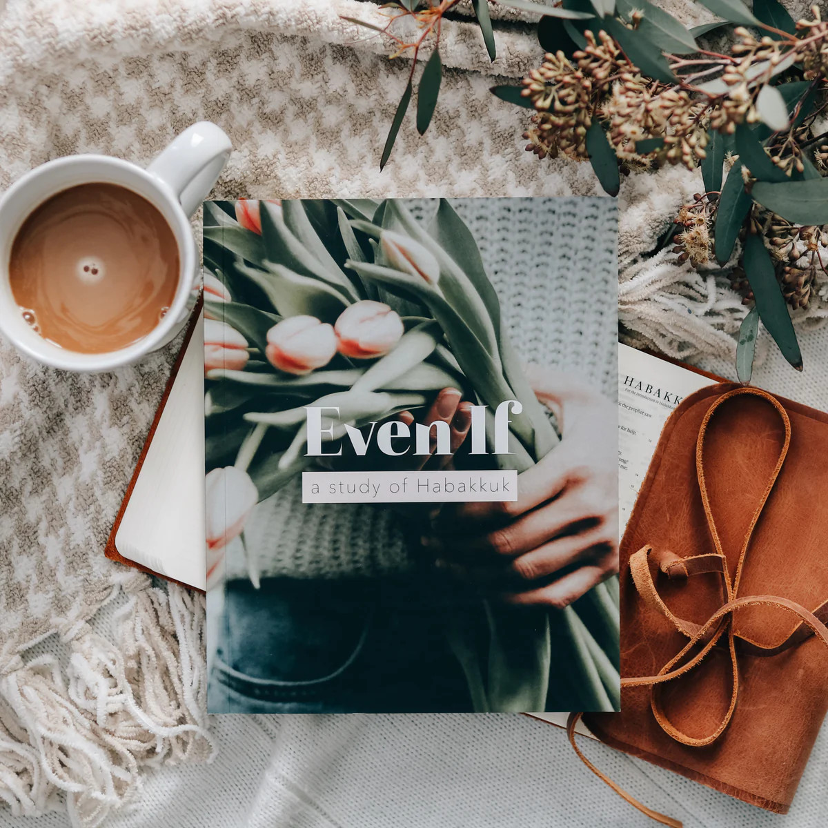 Even If | Habakkuk Study | The Daily Grace Co.