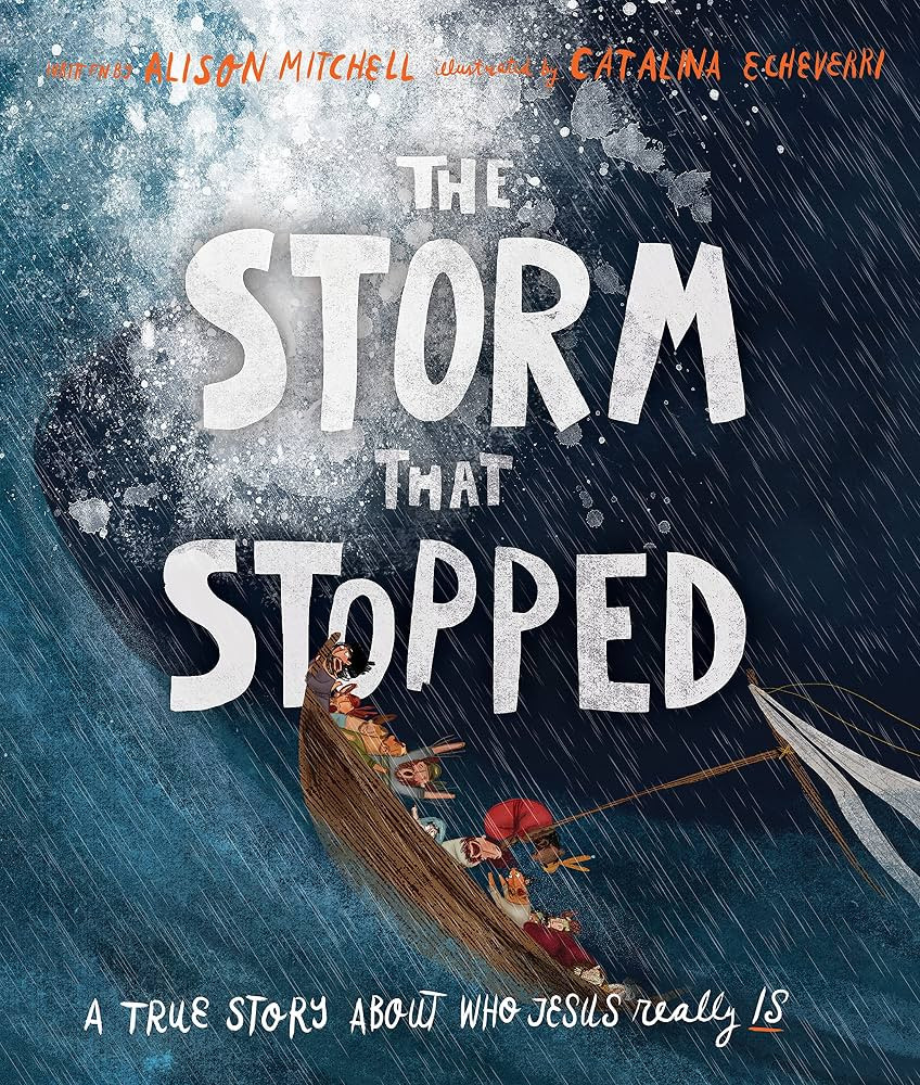The Storm That Stopped | Amazon (US)