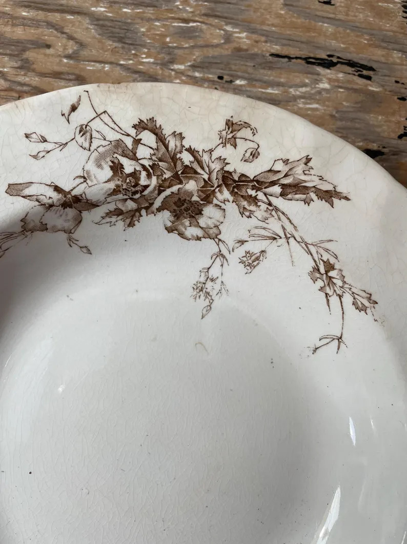 Vintage Ironstone Shallow Bowl - Brown Floral Transferware Dish - Antique English Ironstone | Etsy (US)
