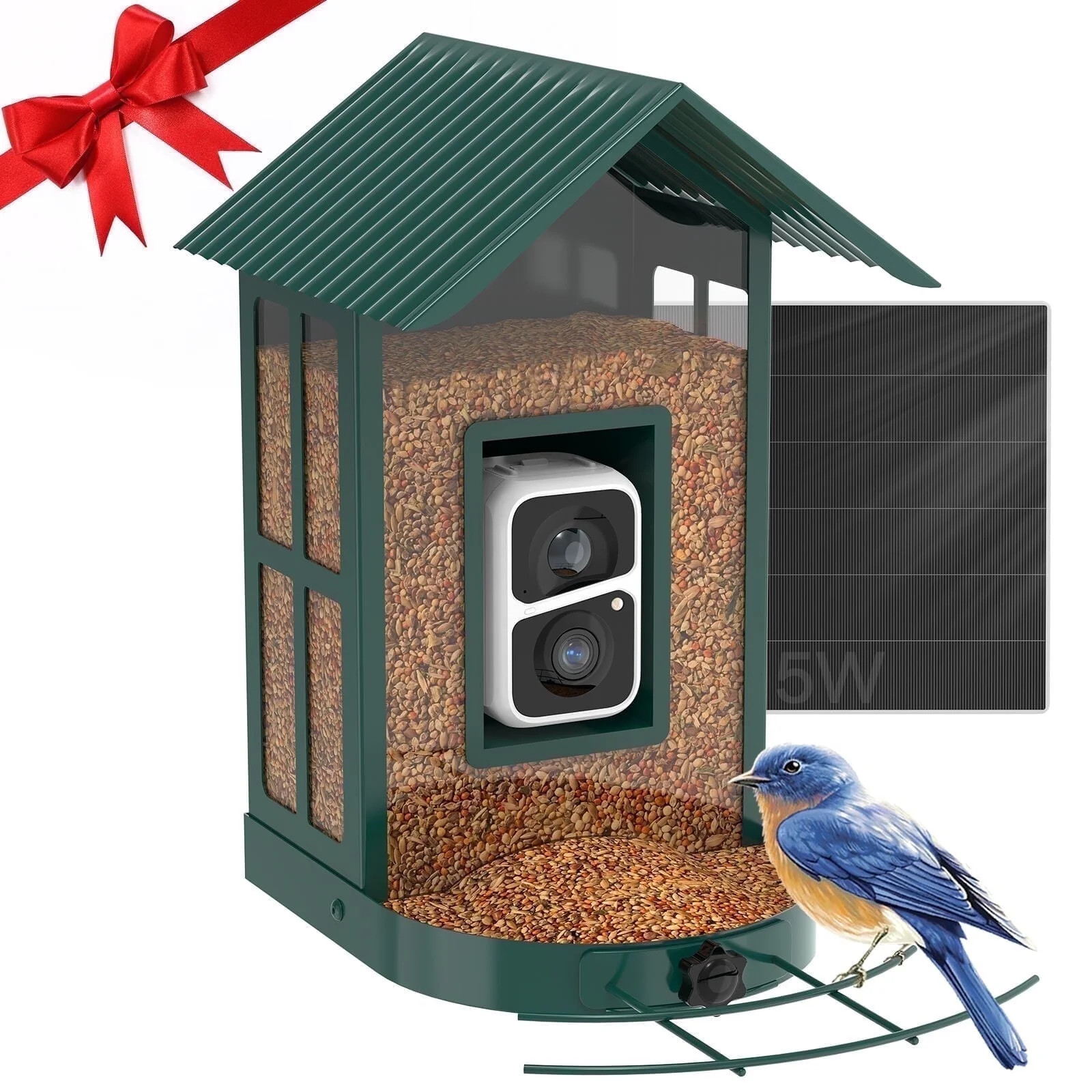 SOLIOM BF08 AI Identify Species Metal Bird Feeder Camera with 5W Solar Panel, Green | Walmart (US)