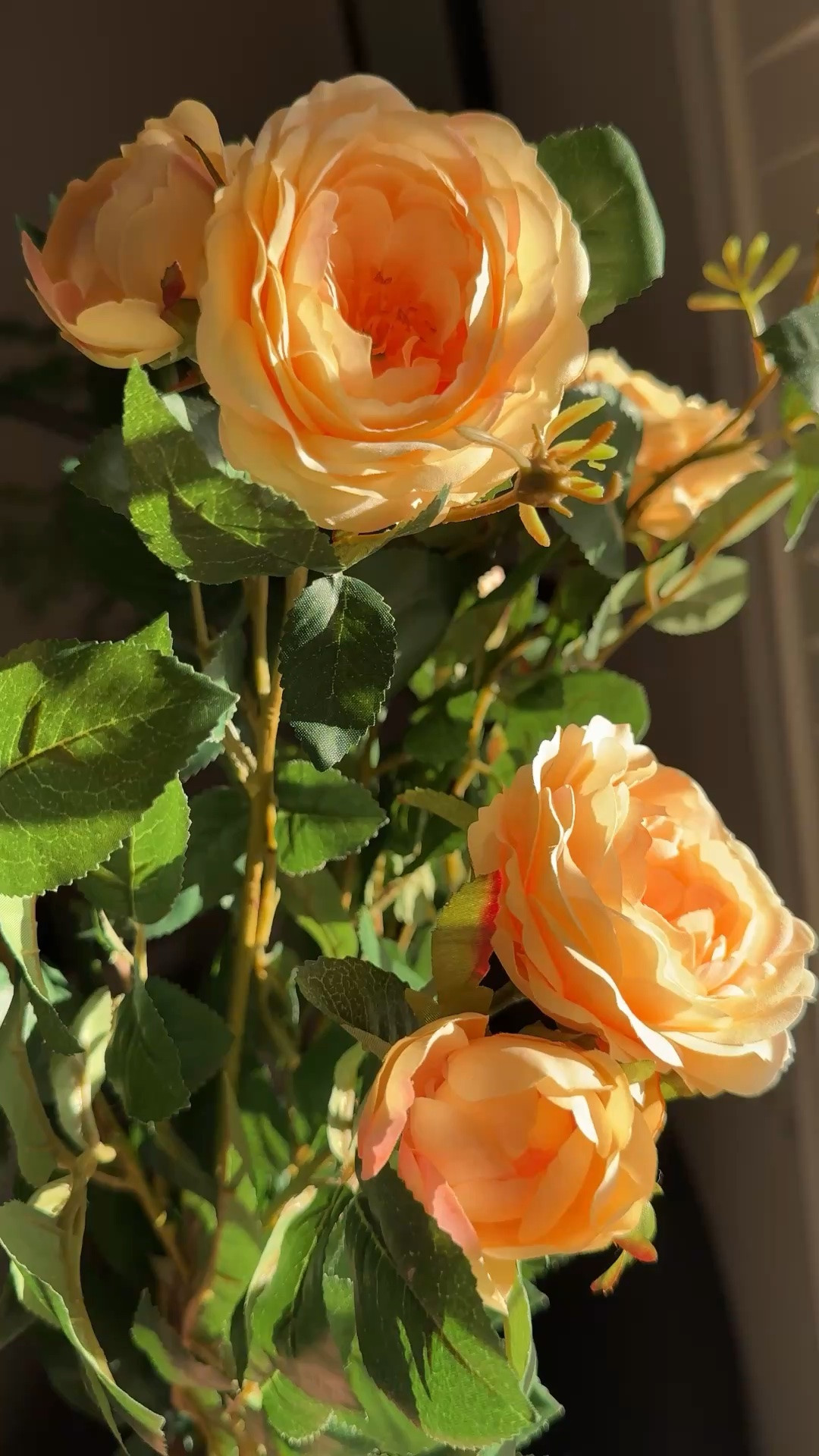 I’m impressed with Pottery Barn’s rose selections! Love these which were on sale for around $30. Get two if you can - one is nice but two creates a really lush vase

#LTKOver40 #LTKHome #LTKSaleAlert