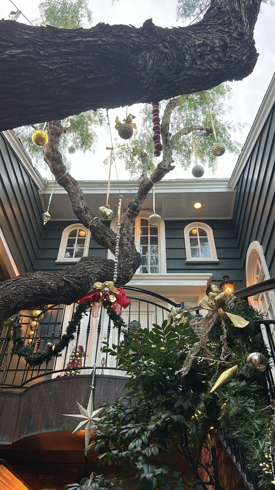 Dessert Stop in Laguna Beach at Pepper Tree Lane

One of my favorite little dessert moments in Laguna Beach is grabbing gelato and wandering Pepper Tree Lane, especially during the holidays. This tucked away lane feels extra magical this time of year with festive decor, twinkling lights, and that cozy coastal holiday vibe Laguna does so well.

Gelato Paradiso is the perfect stop for a sweet treat before strolling the lane, soaking in the atmosphere, and snapping a few photos along the way. It is such a simple plan but feels special, whether you are visiting for the season or just want a relaxed dessert stop by the beach.

If you love discovering charming spots that feel like a hidden gem, this is one worth adding to your Laguna Beach list.

#lagunabeach #orangecounty #dessertstop #gelatolovers #peppertreelane #lagunabeachfood #holidayvibes #hiddenoc #coastalholiday

laguna beach dessert | gelato laguna beach | pepper tree lane | orangecounty desserts | holiday things to do oc | laguna beach hidden gems | festive spots laguna beach

#LTKSeasonal #LTKHome #LTKHoliday