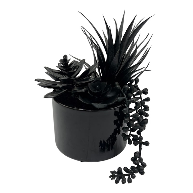 Southern Gothic Black String Pearls Succulent, 8.6" | At Home