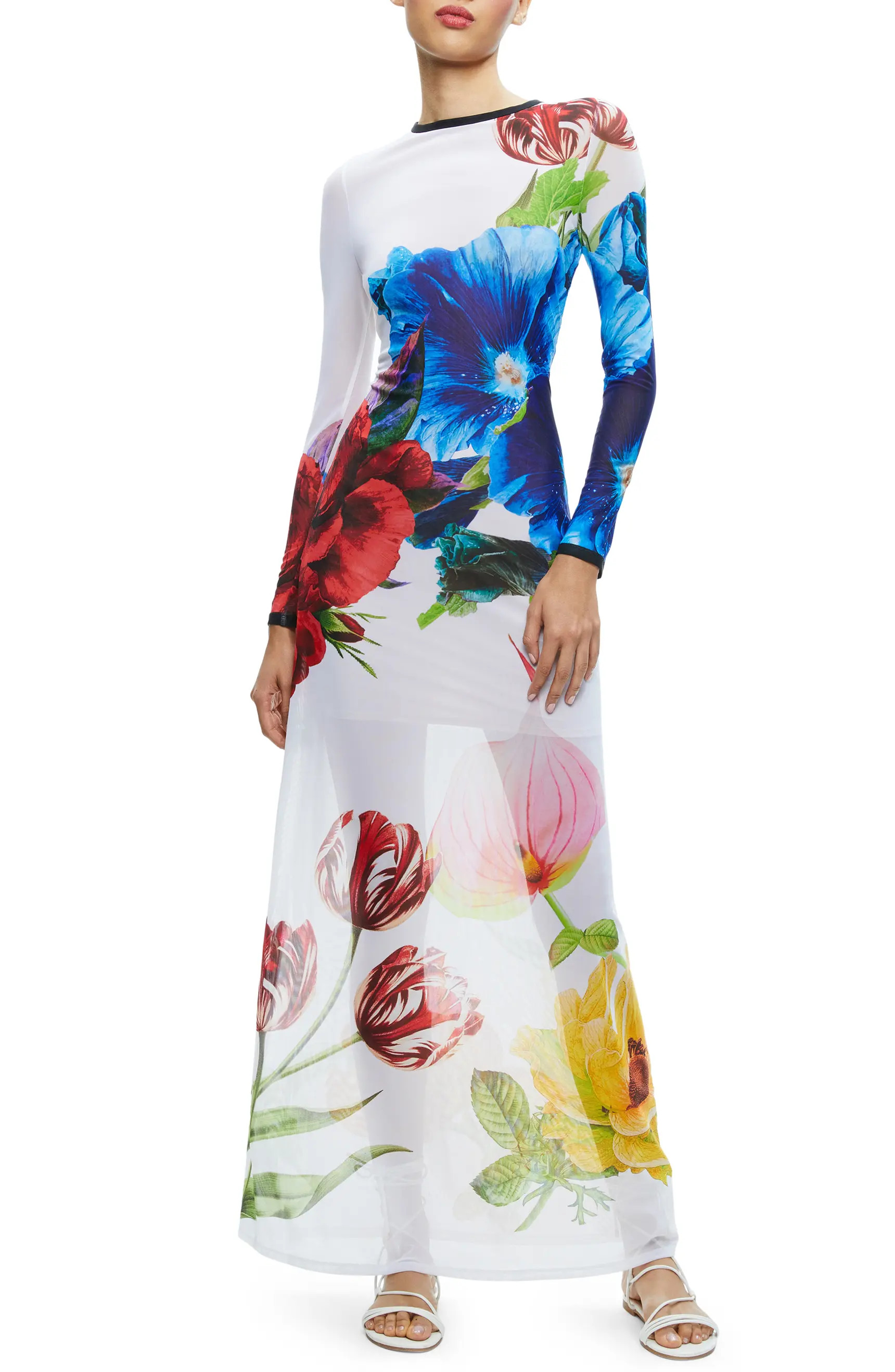 Delora Floral Long Sleeve Maxi Dress | Nordstrom