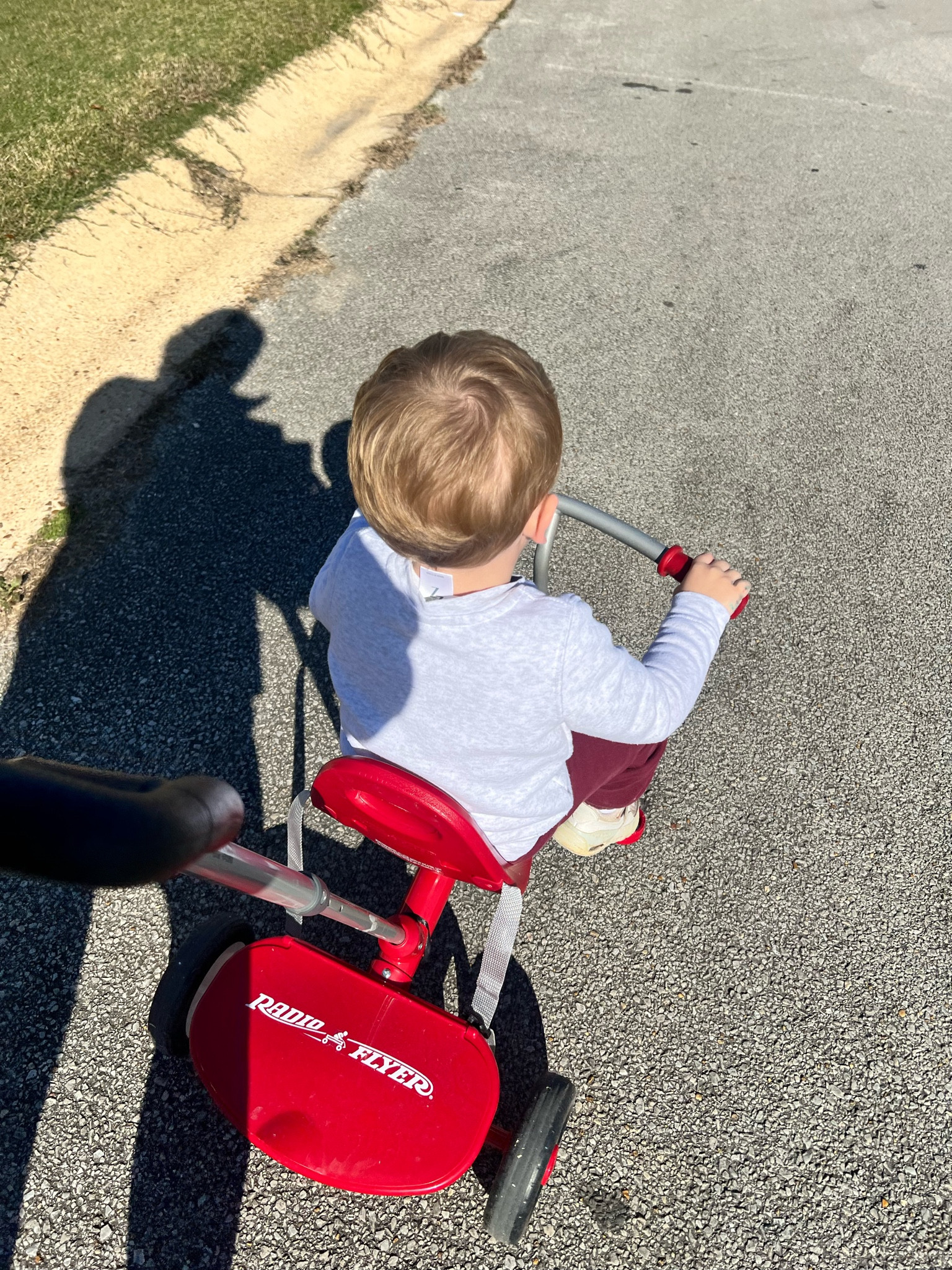 A great Christmas gift for your toddlers! Ours loves going for walks around the park in it. 

#LTKCyberWeek #LTKGiftGuide #LTKHoliday