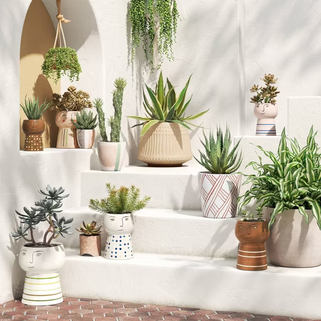 6" Outdoor Stoneware Colorblock Planter Green/Pink/White - Project 62™ | Target