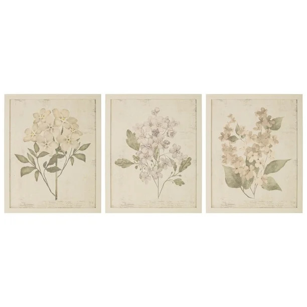 My Texas House  Vintage Botanical Canvas Wall Art Prints, Set of 3, White | Walmart (US)