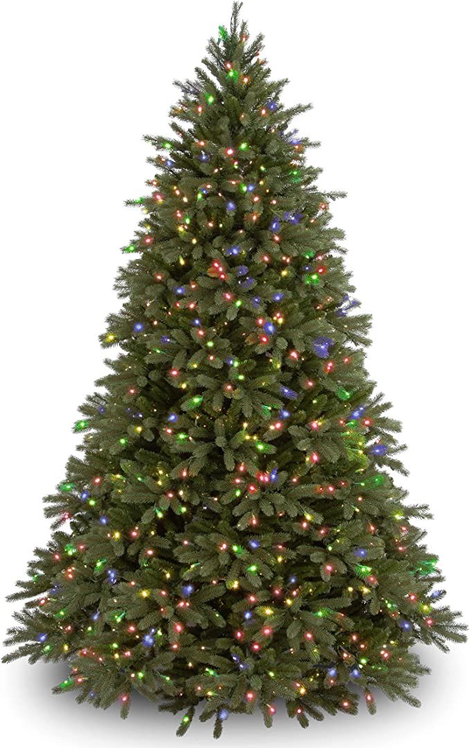 National Tree Company 'Feel Real' Pre-lit Artificial Christmas Tree | Includes Pre-strung Multi-C... | Amazon (US)