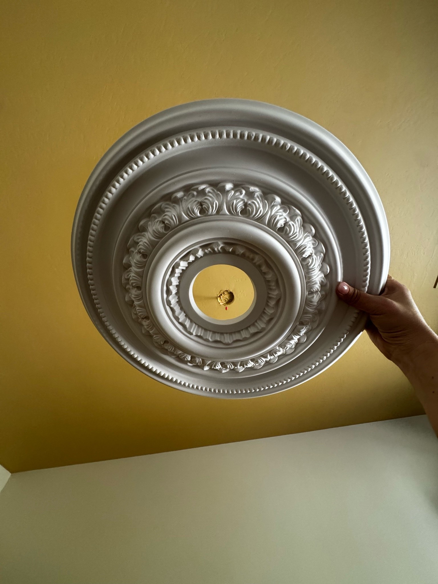 Ceiling medallion loading ⏳ | little girls room | bedroom refresh

#LTKKids #LTKmomlife #LTKHome