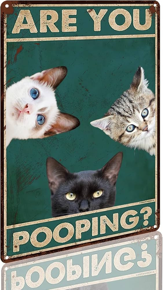 Retro Tin Sign Vintage Black Cat are You Pooping Funny Signs,Bathroom Restroom Wall Toilet Decor ... | Amazon (US)