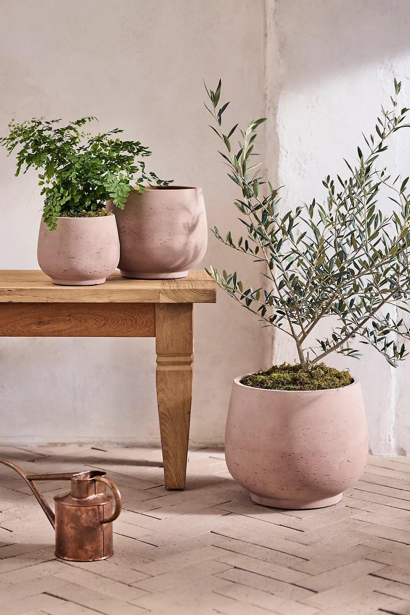 Footed Round Cement Planter | Terrain
