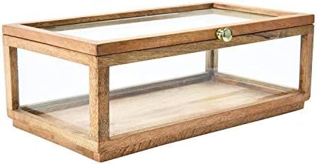 Creative Co-Op Mango Wood & Glass Display Lid Storage Box, Natural | Amazon (US)