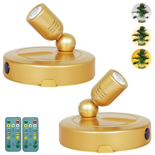 HAMVIDNE Indoor Spotlight, Battery Operated Picture Light with Remote, 3 Lighting Modes LED Display Lights, Plant Tree Spotlight with Timer, Up Lights for Art Display Dartboard Artwork Frames-Gold | Amazon (US)