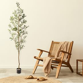Faux Potted Olive Tree | West Elm (US)