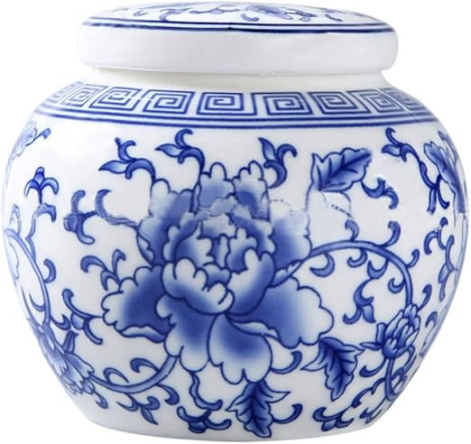 Angoily Blue and White Porcelain Jar Containers with Lids Cereal Container Cookie Jars with Lids ... | Amazon (US)