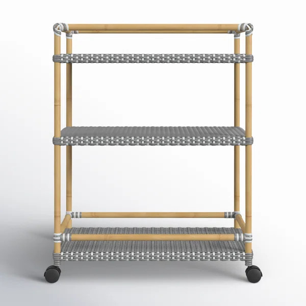 Ellie Bar Cart with Metal Outer Material | Birch Lane