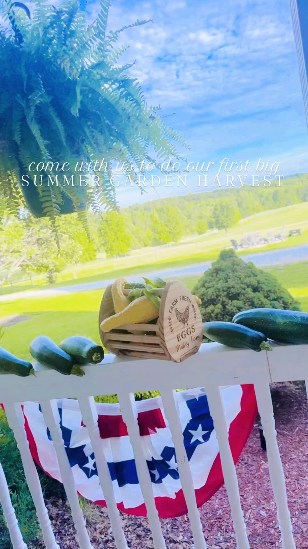 Come along with us this evening to do our first big (!!) summer garden harvest of the season!!! 🪴🧺☀️💦🥒💐💛 #tonightsharvest #gardenharvest #summergarden 

We are all just giddy 🥰 with how much our big happy garden 🪏 is producing already… what a gift ✨ this special land is!!! 🫶🏽 #wheregoodthingsgrow 

Little Emily wouldn’t believe the life she gets to live now raising babies 👶🏼 on a farm sweet farm 🫶🏽 - with our hands in the dirt 🤎 and watching all the good things grow!!! 🪴 #farmgirldreamcometrue