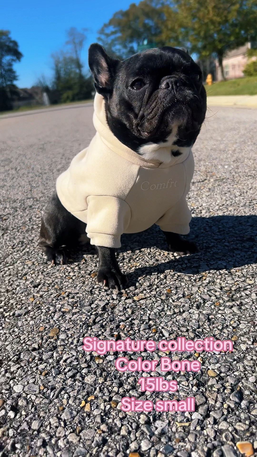 A matching hoodie for your pup?! 🐶🫶🏼

#LTKGiftGuide #LTKFindsUnder50 #LTKFamily