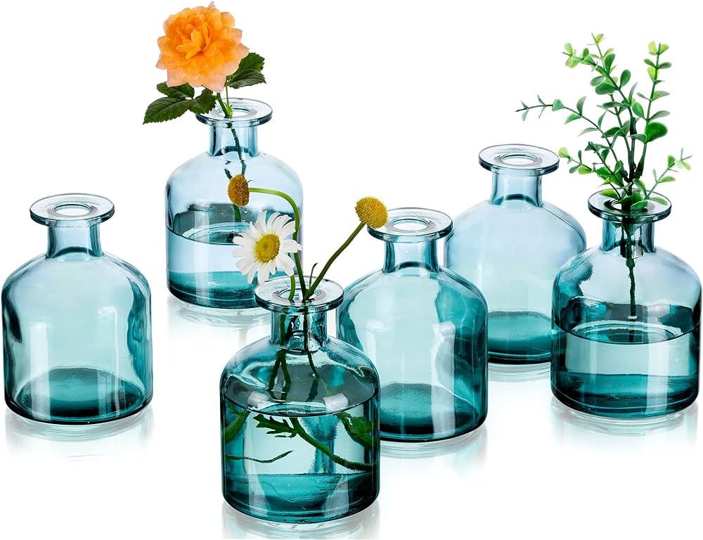 Glass Small Green Bud Vase: Glasseam Mini Vase Set of 6 Minimalist Colored Flower Vases for Cente... | Amazon (US)