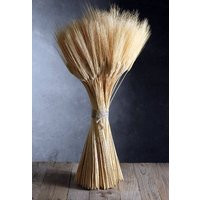 Triticum Wheat Natural 34 Inch | Etsy (US)