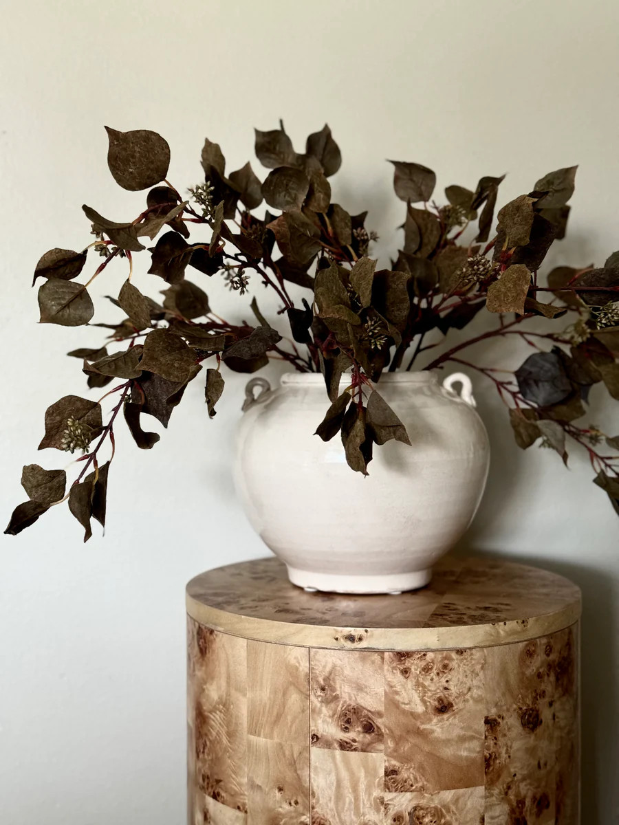 Cork Textured Silver Dollar Eucalyptus Stem | The Style Edit Collective