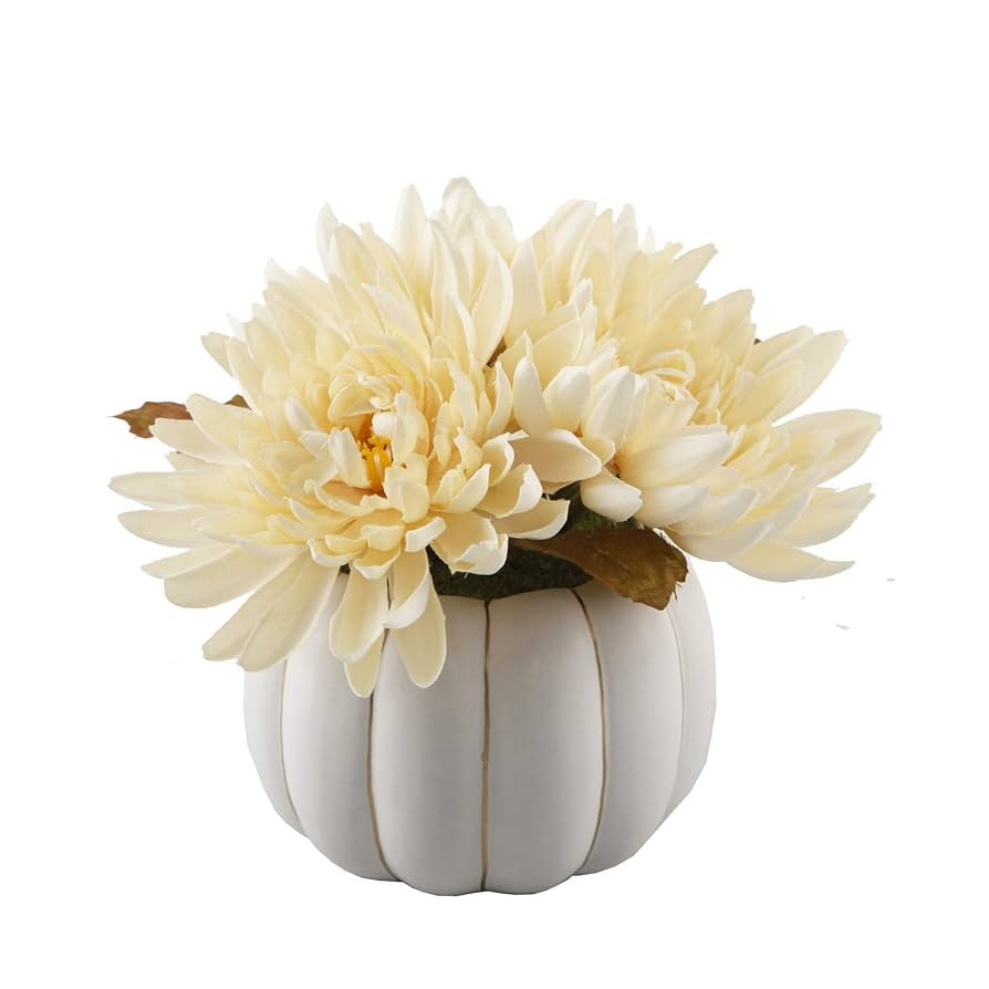 Flora Bunda 5" H Cream Mums in 4" Ceramic Pumpkin Mums for Desk, Office, Living Room, and Home De... | Amazon (US)