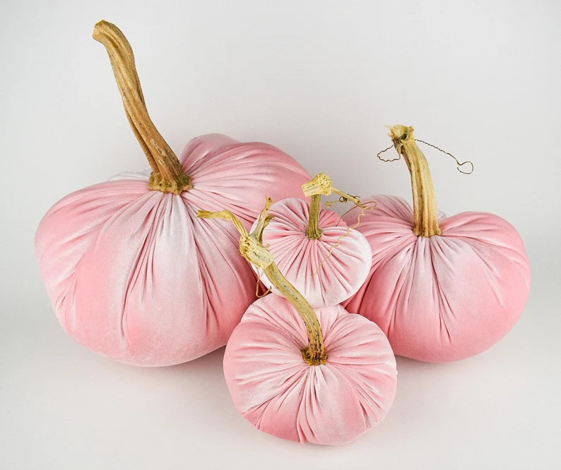 Velvet Pumpkin in Blush with a Real Stem | Etsy (US)