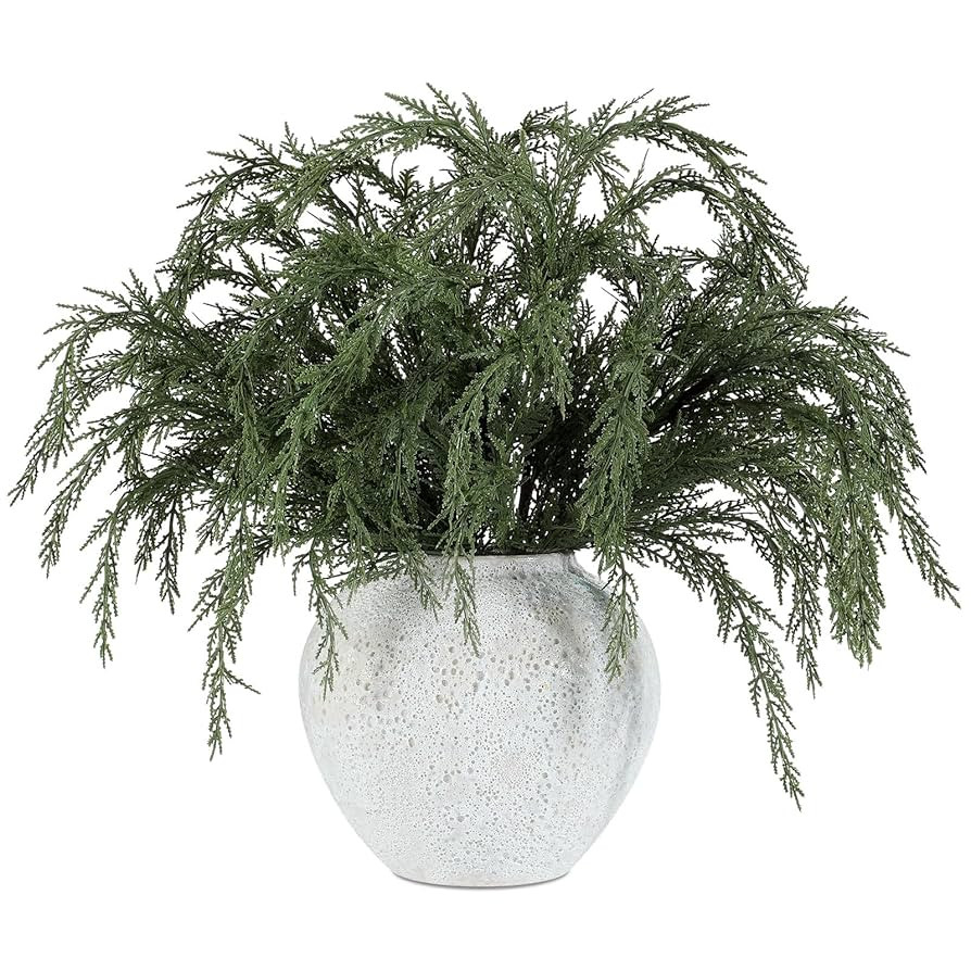 Giegxin 10 Pcs Christmas Artificial Cedar Branches Realistic Modern Greenery Norfolk Pine Stems X... | Amazon (US)