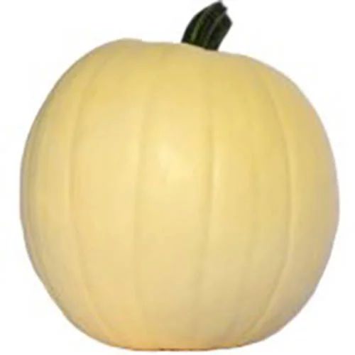 White Pumpkin, 1 each (approx. 7-12 lb) | Walmart (US)