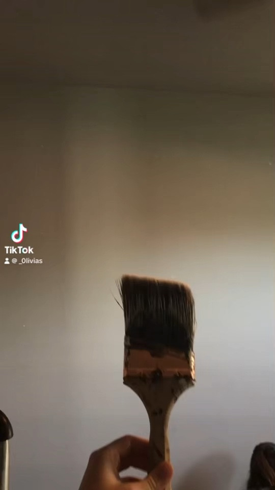 Some of my favorite products for mural painting! Questions are welcome :)

#LTKVideo #LTKhome #LTKfindsunder100