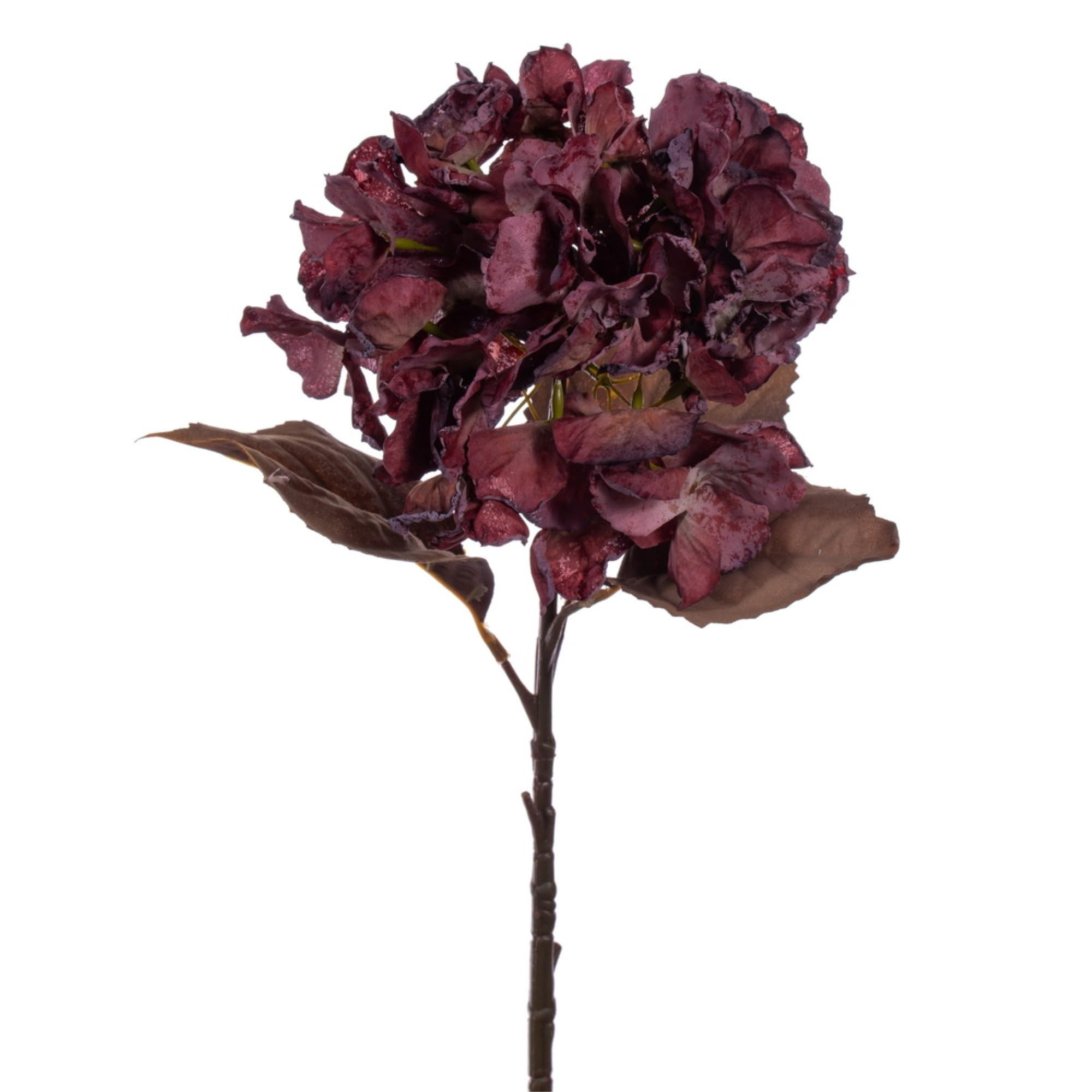 Vickerman 18.5" Light Burgundy Artificial Dried Hydrangea Spray, 2 per Bag. | Amazon (US)
