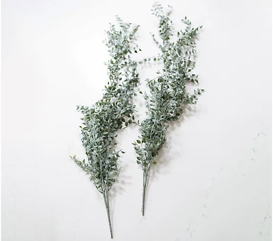 Set of (2) 36" In/Out Faux Dripping Greenery by Lauren McBride | QVC