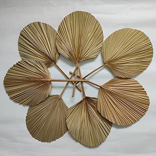 Tropical Dried Palm Fronds, Natural Round Shape Palm Fans for Wedding Home Decor (7) | Amazon (US)