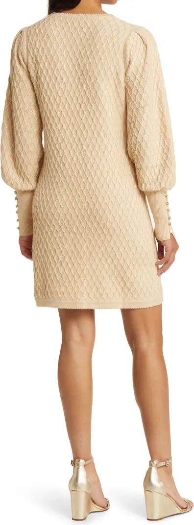 Lilly Pulitzer® Jacquetta Long Sleeve Sweater Dress | Nordstrom | Nordstrom