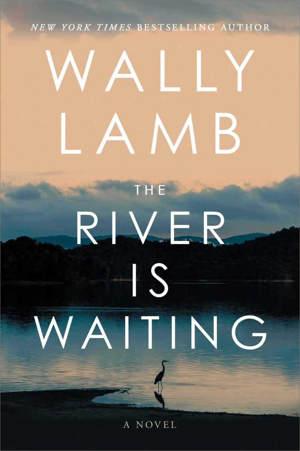 Wally Lamb: The River Is Waiting (Oprah's Book Club): A Novel (Hardcover) | Walmart (US)