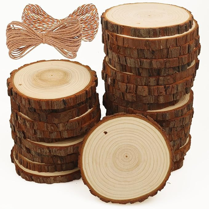 Natural Wood Slices 30 Pcs 3.5-4 Inches Craft Unfinished Wood Kit Predrilled Wooden Rounds with B... | Amazon (US)