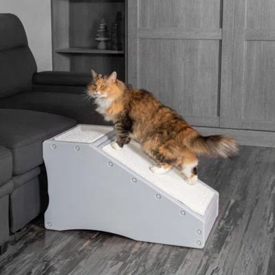 Pet Gear Stramp Stair and Ramp Combination for Dogs/Cats | Wayfair North America